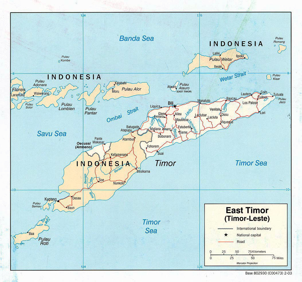 Timor-Leste Branch Roads Project Map